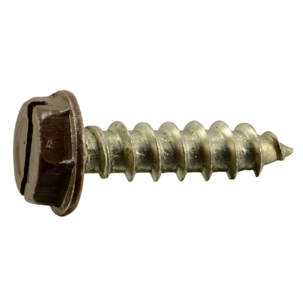 10 x 3/4 Hex SMS SS Brn