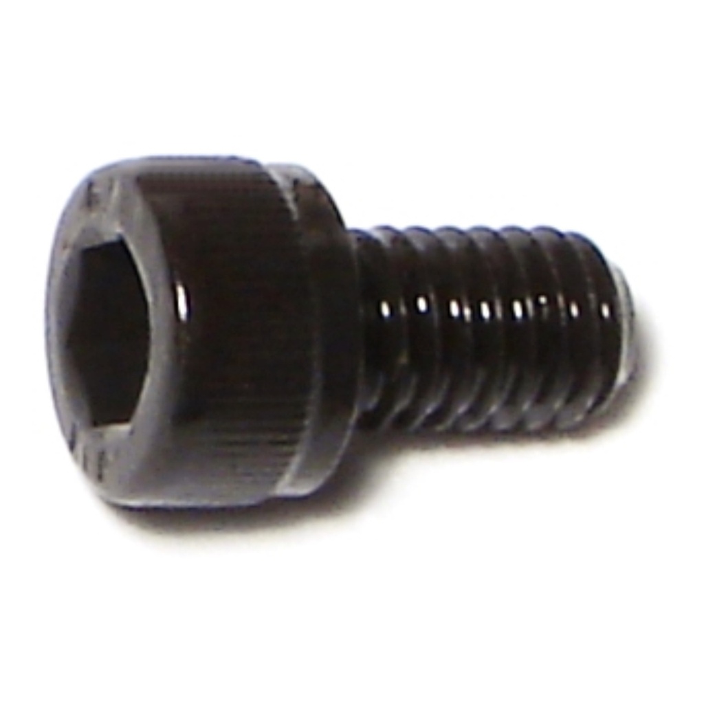 6mm-1.0 x 10mm Socket Cap Screw