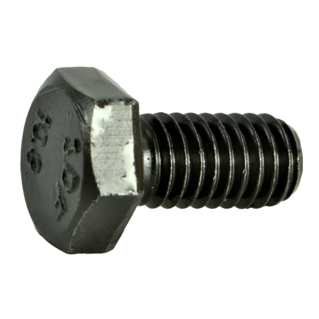 6mm-1.0 x 12mm Hex Cap 10.9 Pln
