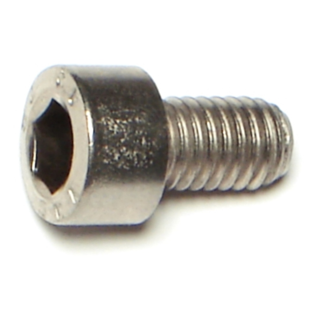 6mm-1.0 x 10mm Socket Cap Sc SS