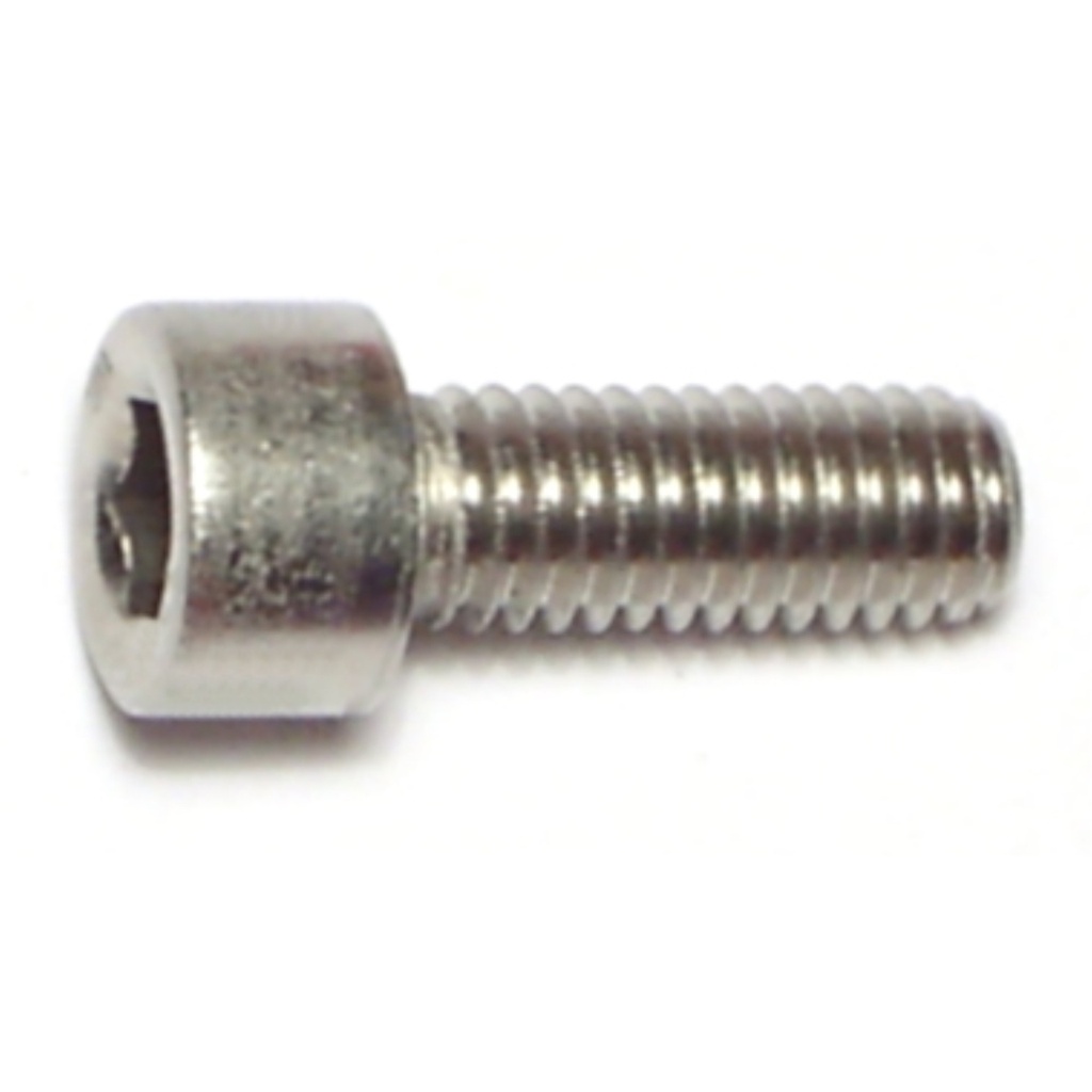 6mm-1.0 x 16mm Socket Cap Sc SS