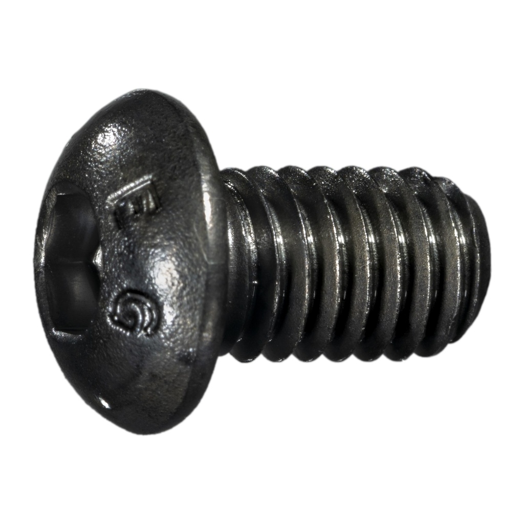 6mm-1.0 x 10mm Button Head Sckt