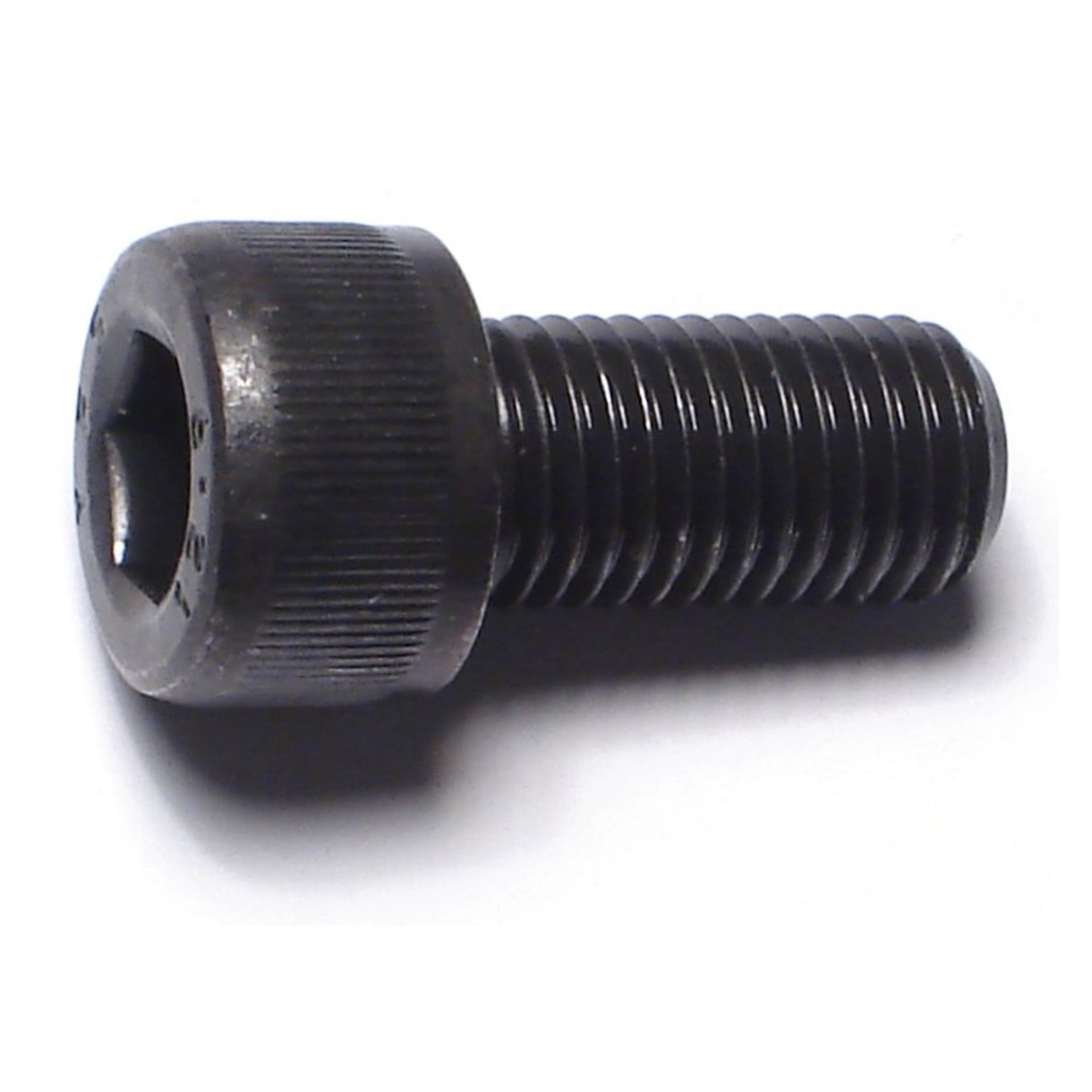10mm-1.25x20mm Socket Cap Fine