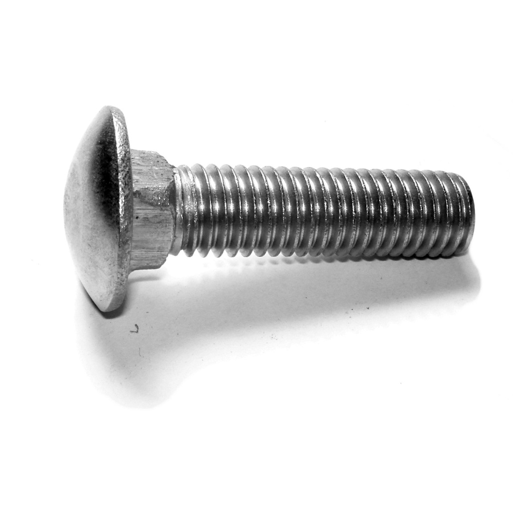 1/2-13 x 2 Carriage Bolt SS