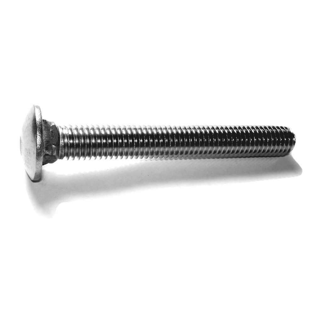 1/2-13 x 4 Carriage Bolt SS