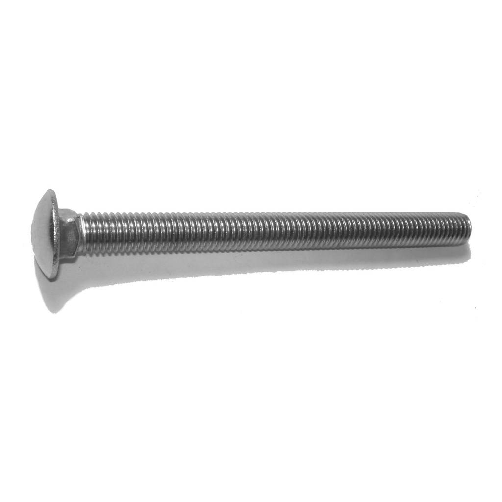 1/2-13 x 6 Carriage Bolt SS