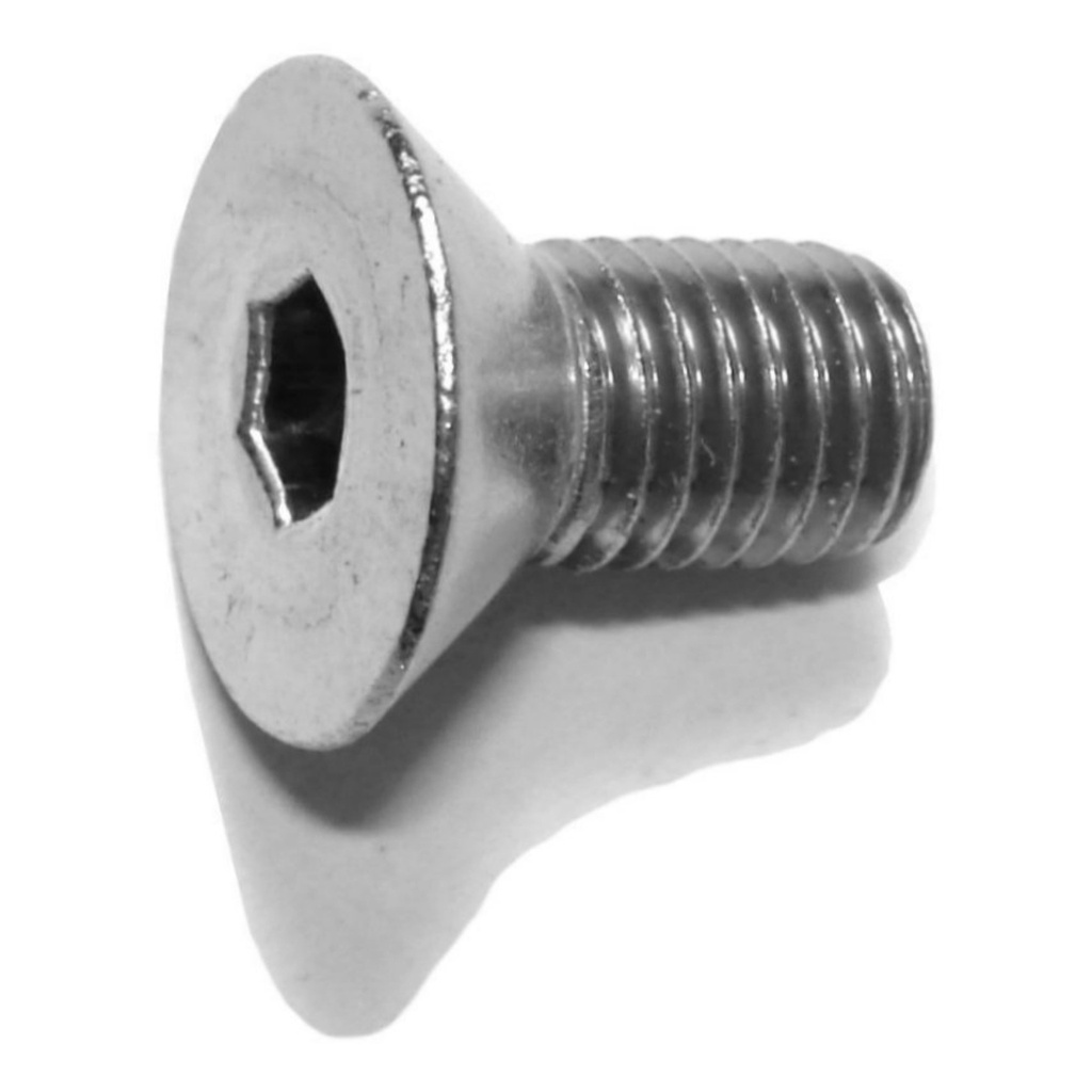 1/4-28 x 1/2 Flat Socket SS