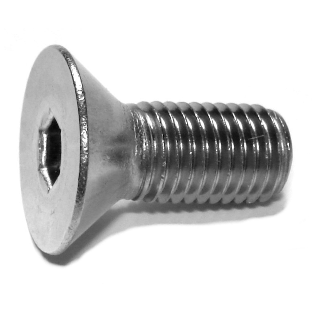 5/16-24 x 3/4 Flat Socket SS