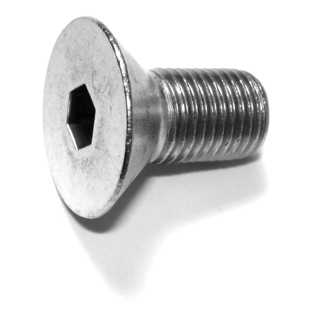 3/8-24 x 3/4 Flat Socket SS