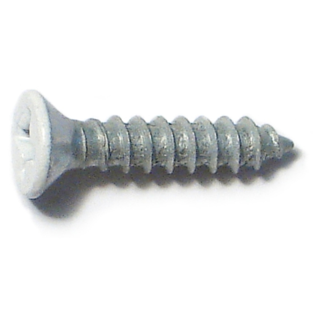 5 x 5/8 Ph Fl Hinge Wht