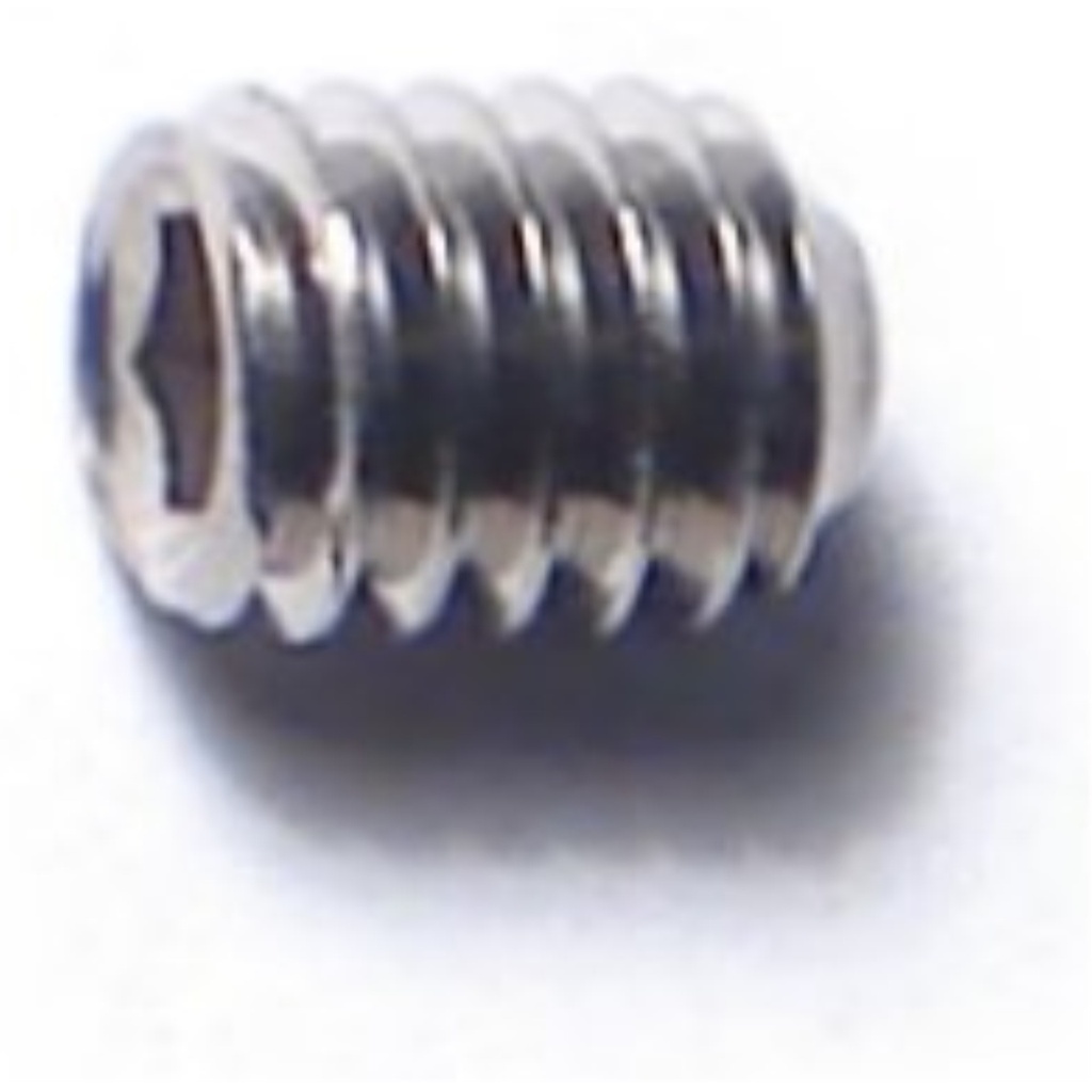4mm-.7 x 5mm Sckt Set Scr SS