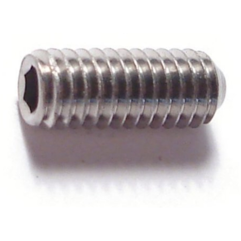 4mm-.7 x 10mm Sckt Set Scr SS