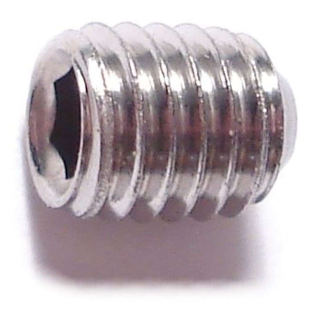 5mm-.8 x 6mm Sckt Set Scr SS