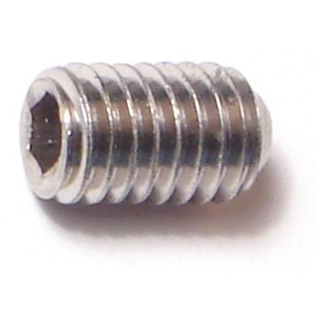 6mm-1.0 x 10mm Sckt Set Scr SS