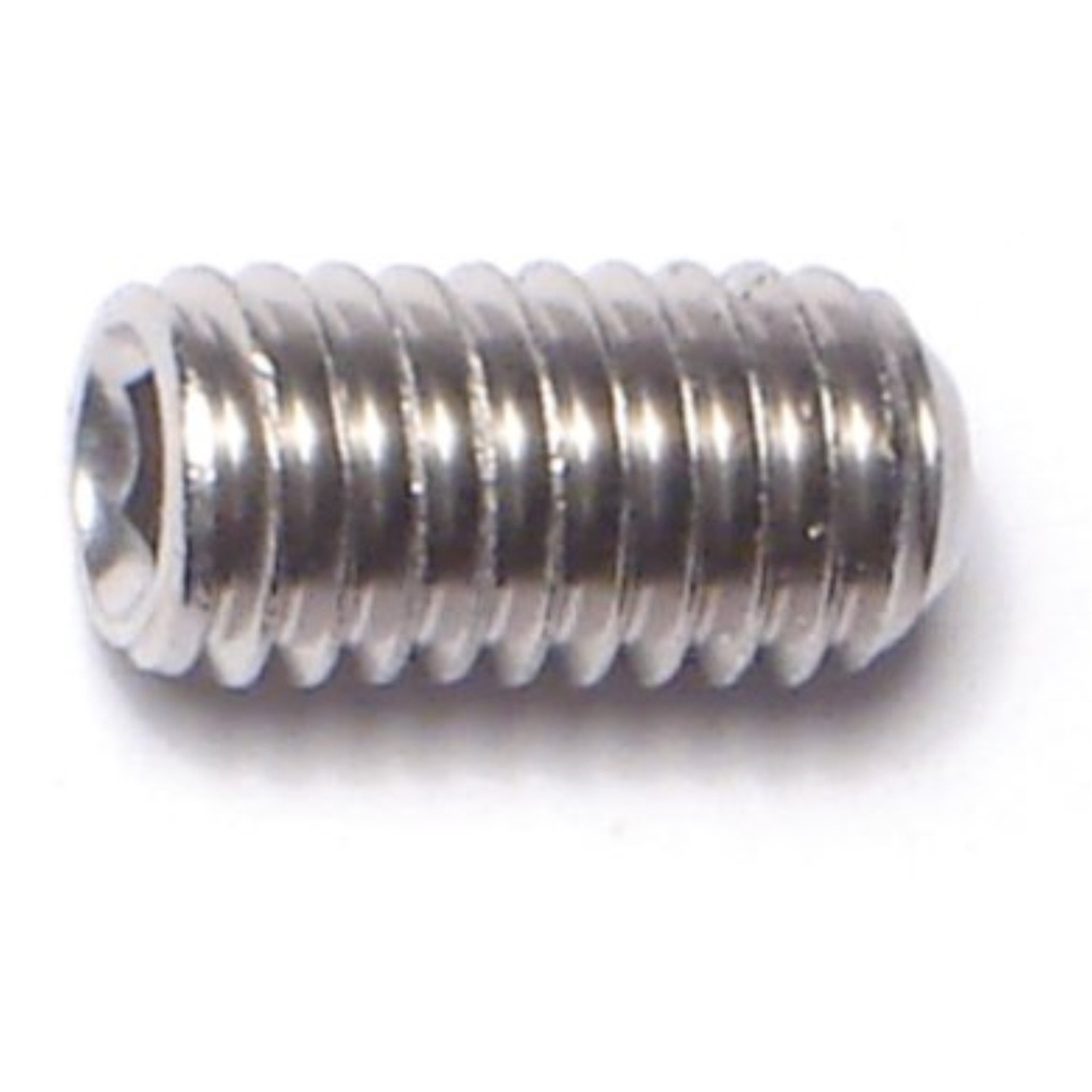 6mm-1.0 x 12mm Sckt Set Scr SS