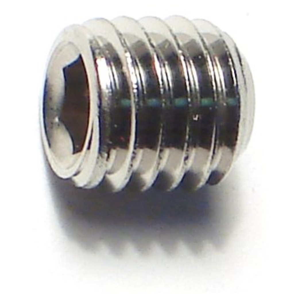8mm-1.25 x 8mm Sckt Set Scr SS