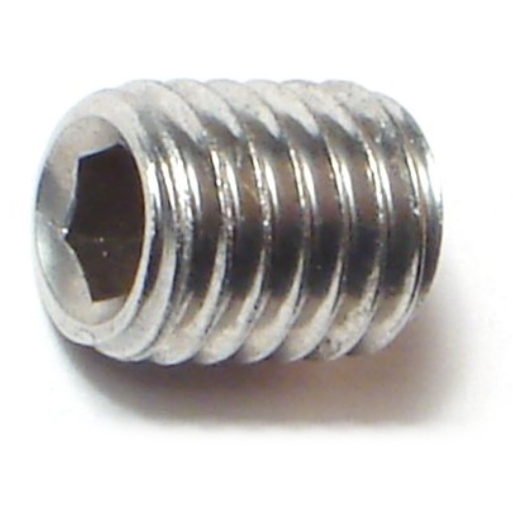 8mm-1.25x 10mm Sckt Set Scr SS