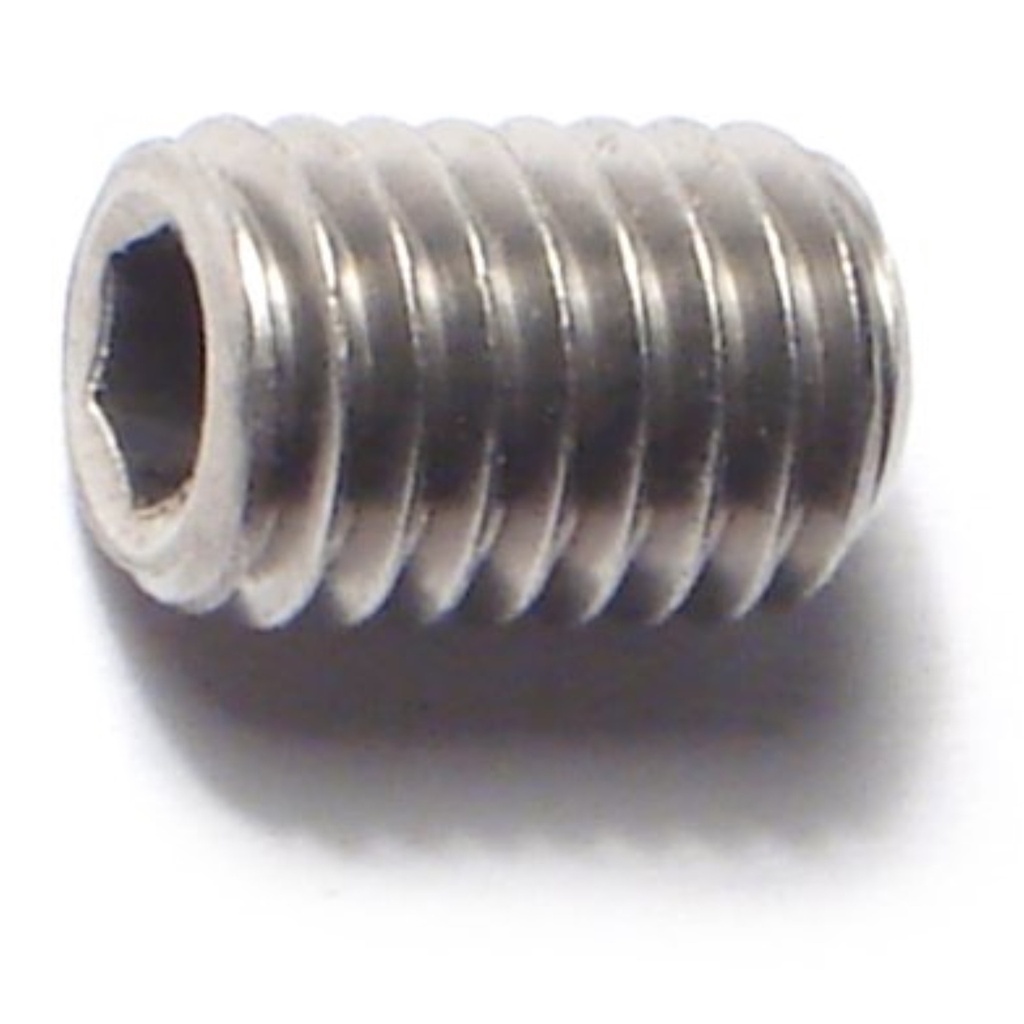 8mm-1.25x 12mm Sckt Set Scr SS