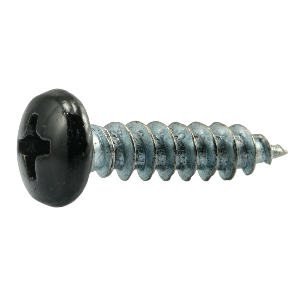 10 x 3/4 Ph Pn SMS Blk Zn