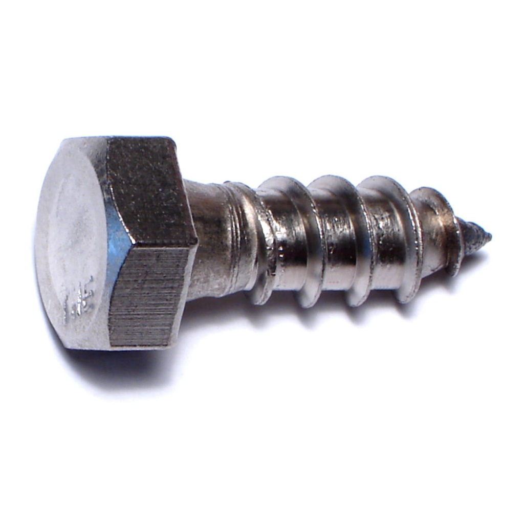 3/8 x 1 Hex Lag Screw SS