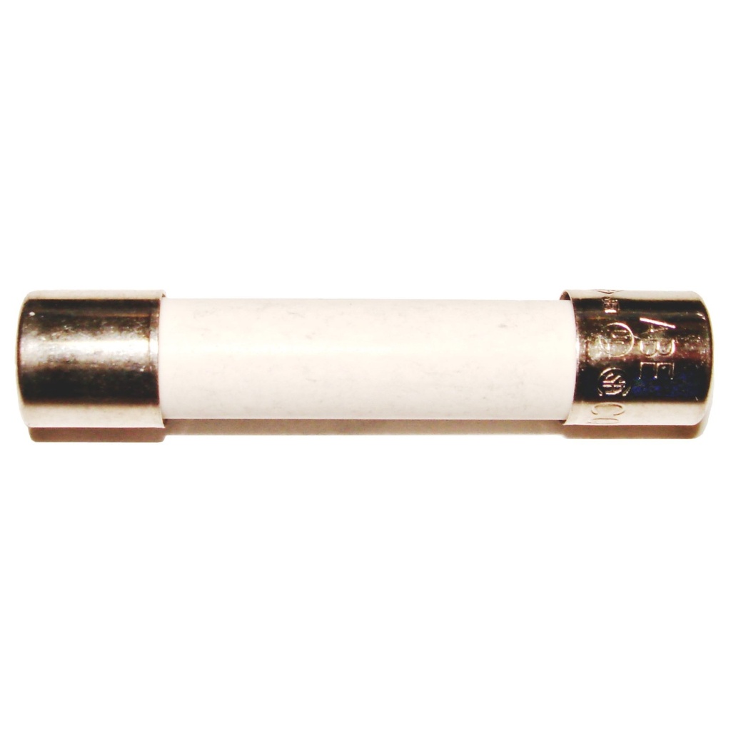 6A /250V ABC Fuse