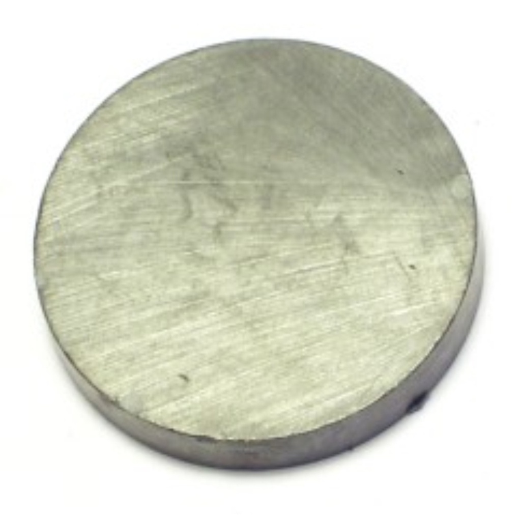 1" x 1/8 Magnet Circle