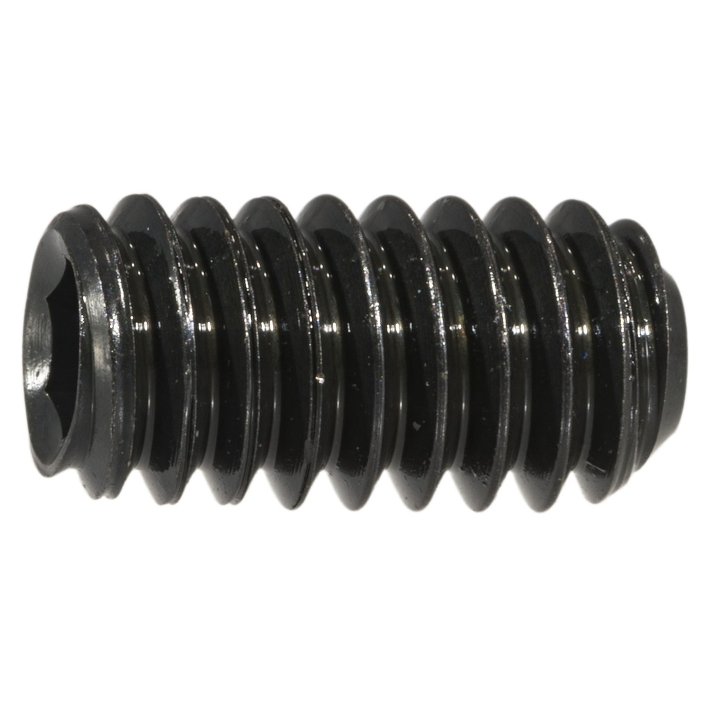 1/4-20 x 1/2 Sock Set Scr NC