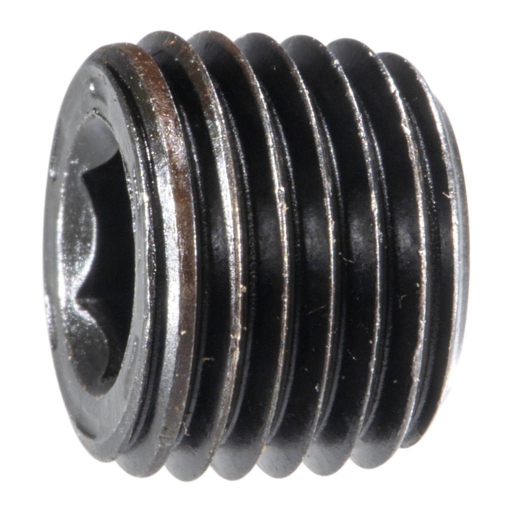 1/4 IP Hx Pipe Plug Stl