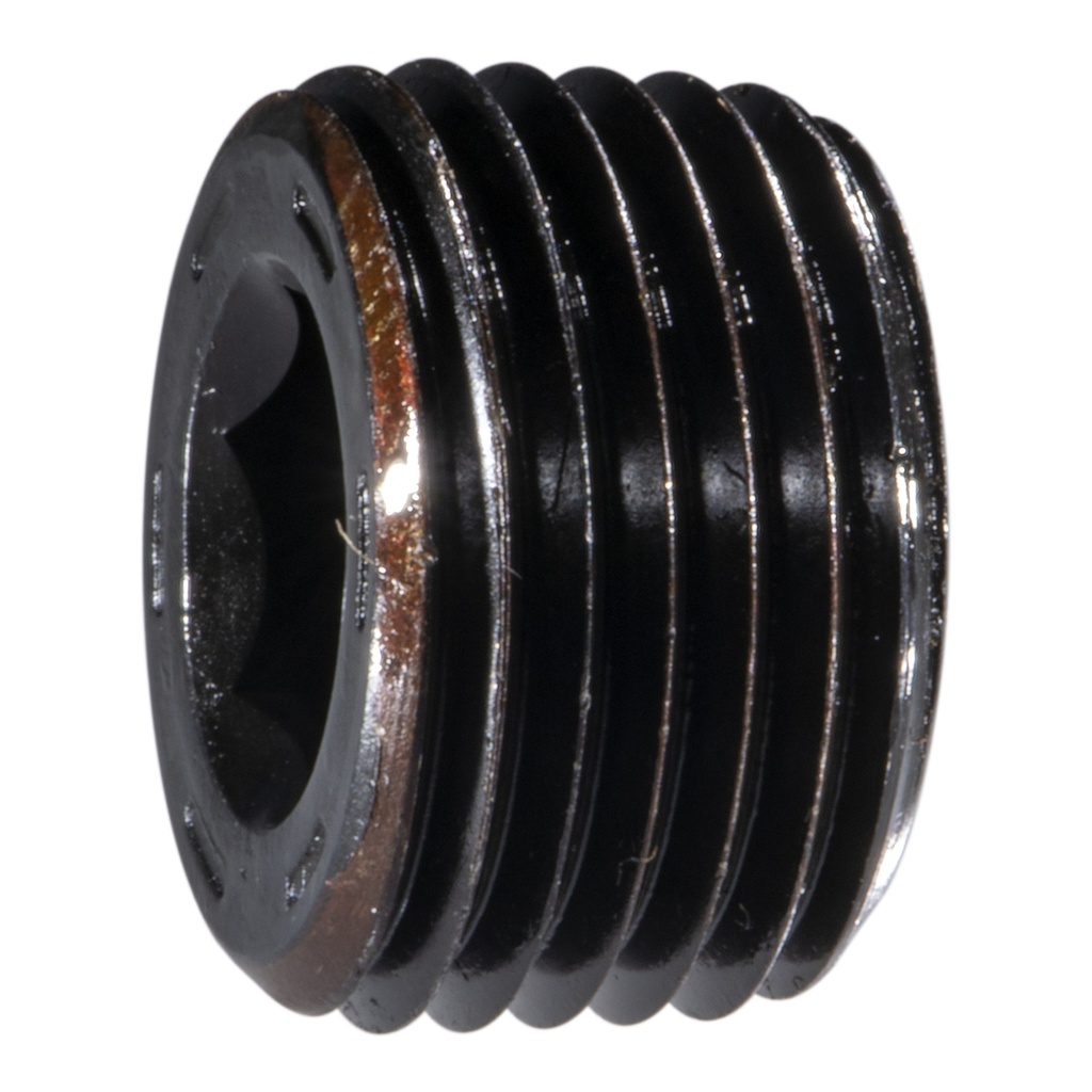 1/2 IP Hx Pipe Plug Stl