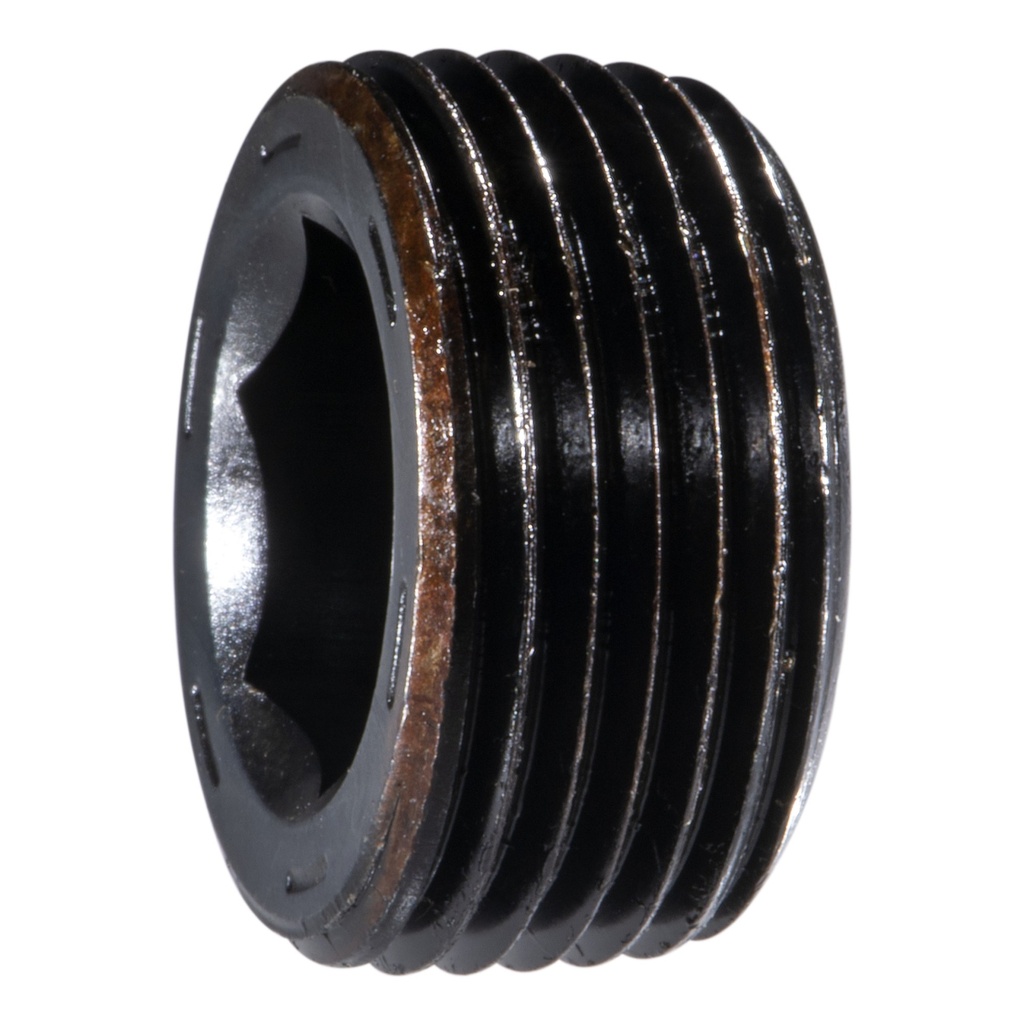 3/4 IP Hx Pipe Plug Stl