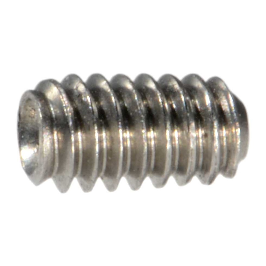 2-56 x 5/32 Sckt Set Scr SS