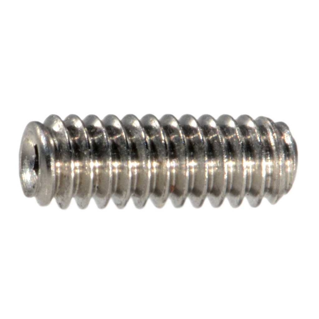 2-56 x 1/4 Sckt Set Scr SS