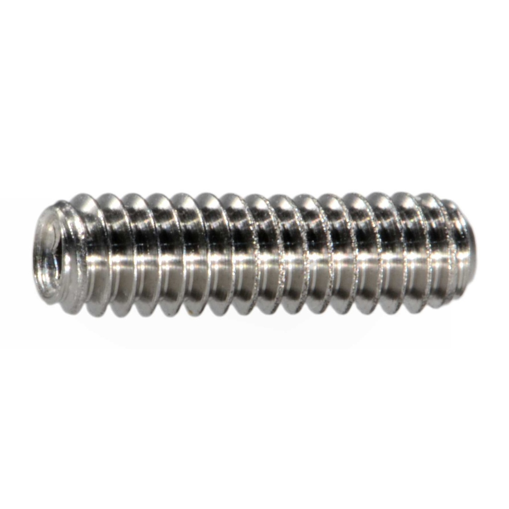 2-56 x 5/16 Sckt Set Scr SS