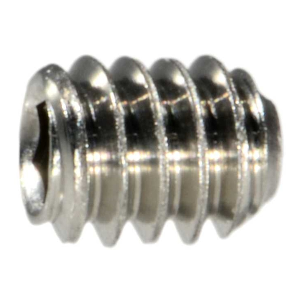 3-48 x 3/16 Sckt Set Scr SS