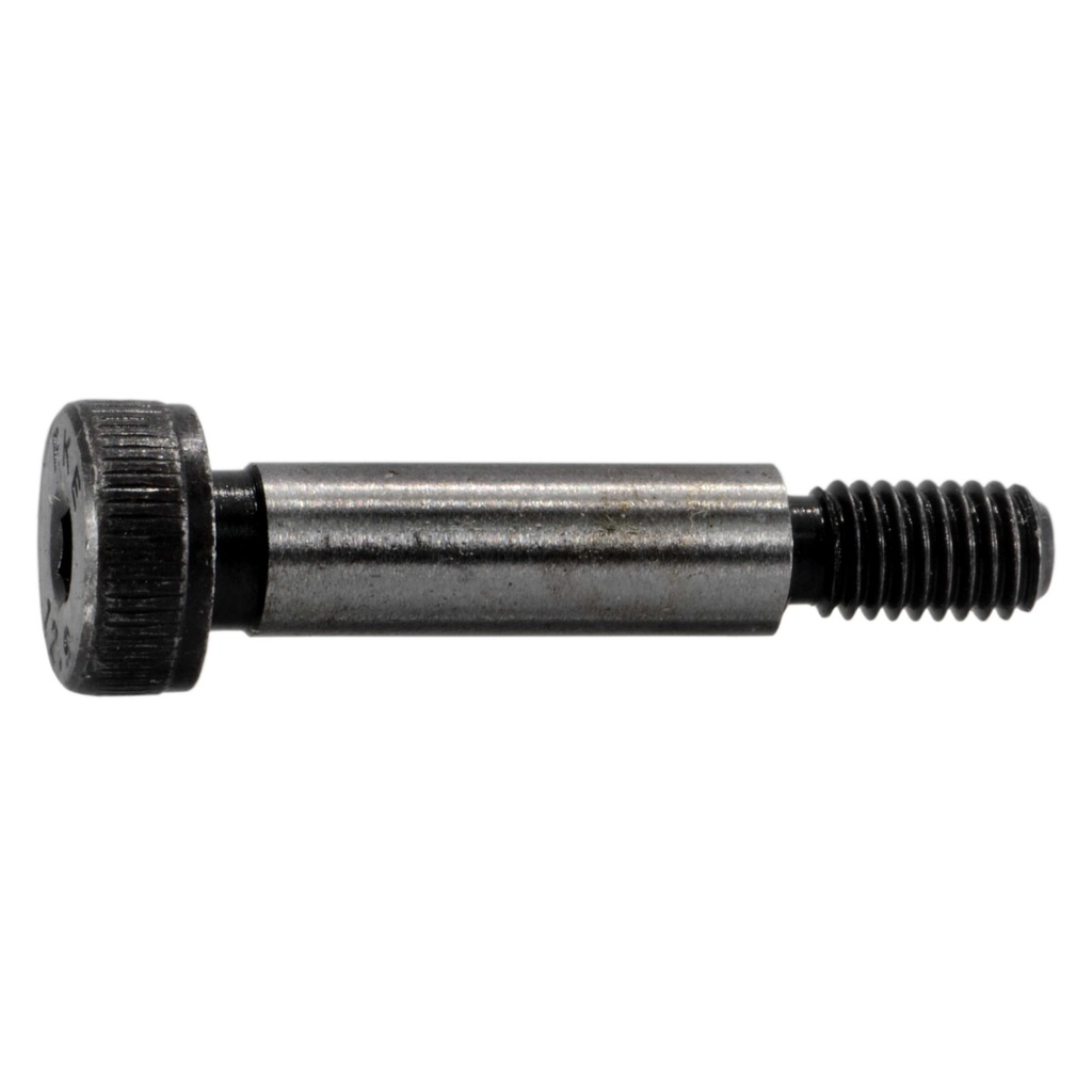 6mm x 20mm Skt Shoulder Scr