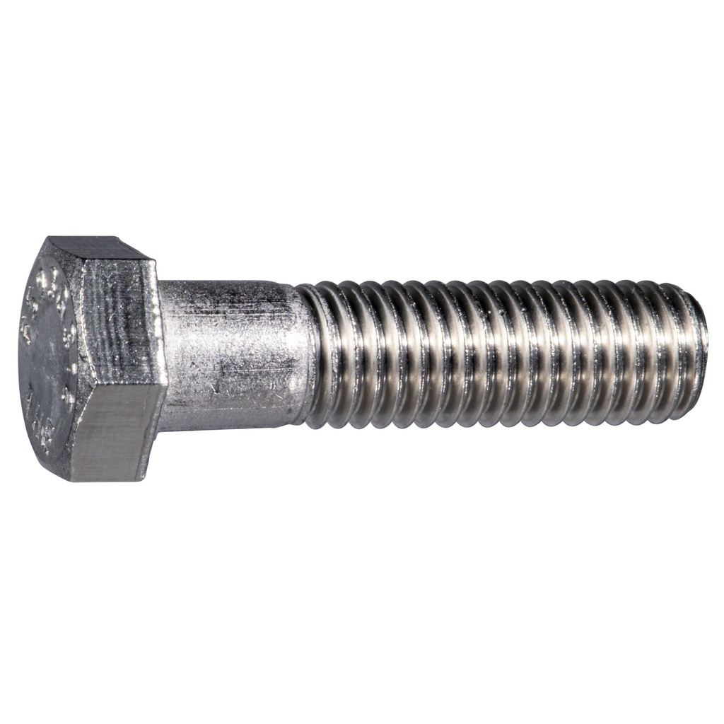 1/2-13 x 2 Hex Cap 316 SS
