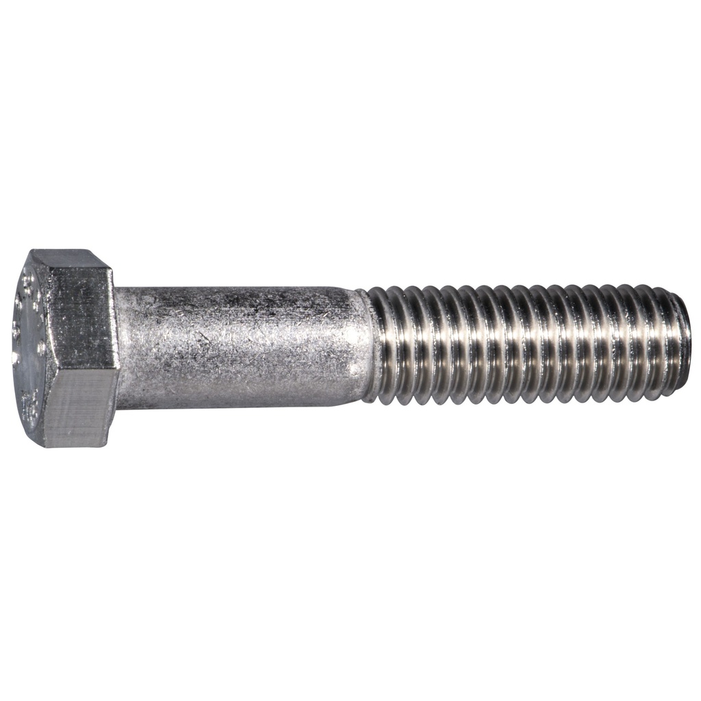 1/2-13 x 2-1/2 Hex Cap 316 SS