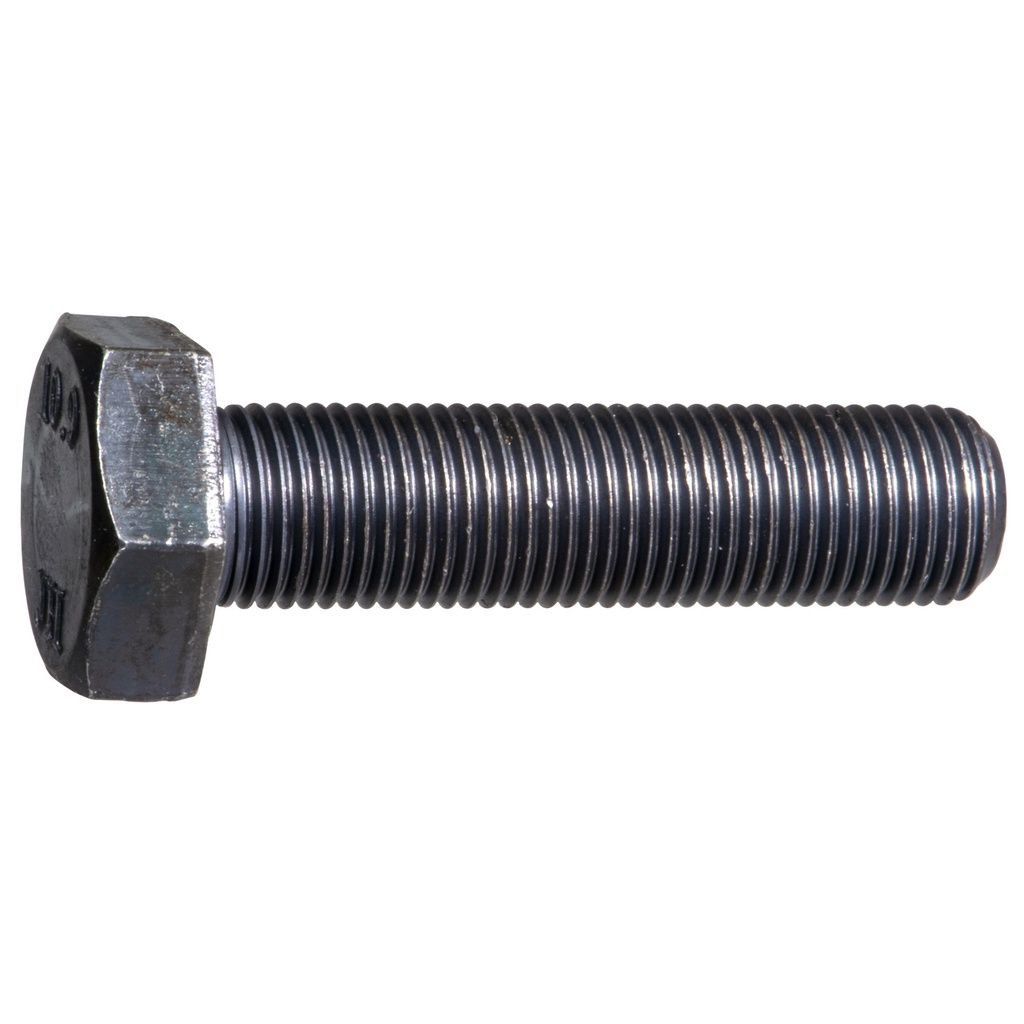 10mm-1.0 x40mm Hex Cap 10.9 Pln