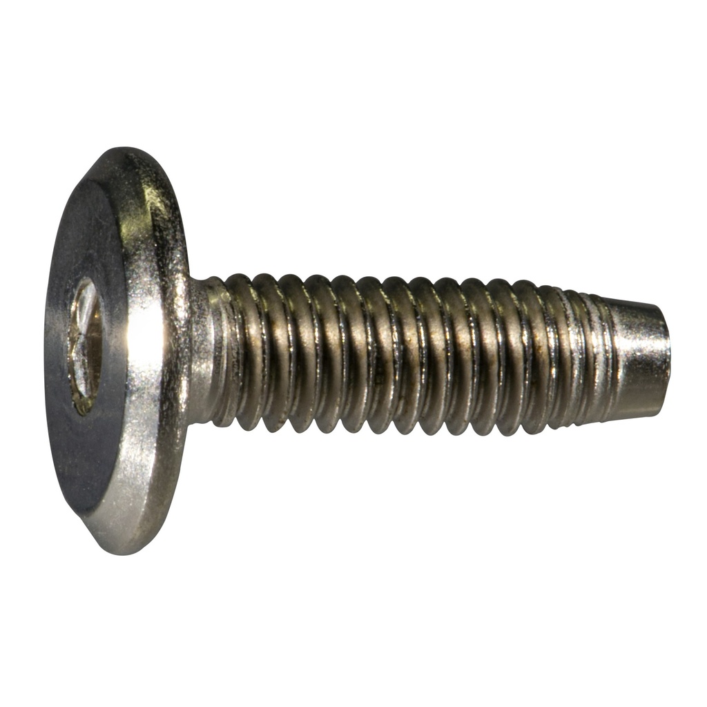 6mm-1.0 x 20mm Jnt Con Bolt NiP