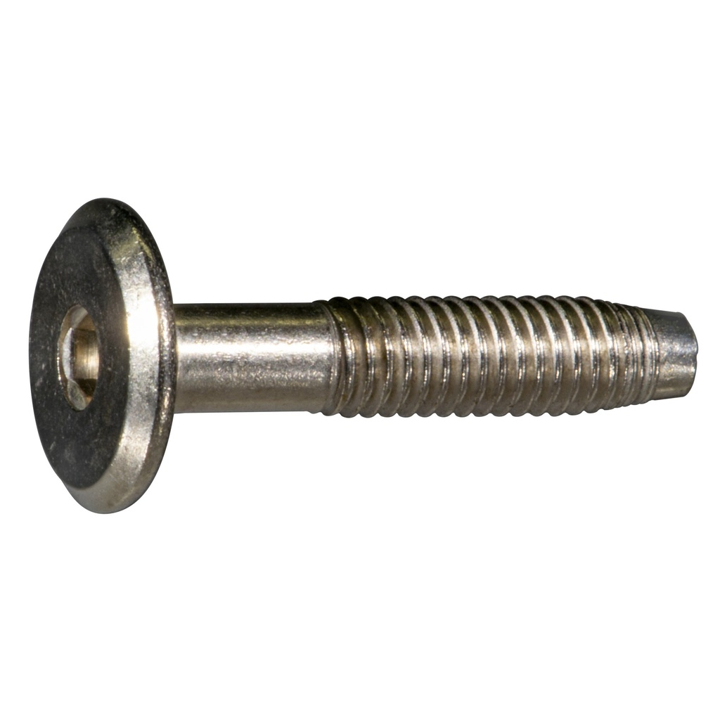 6mm-1.0 x 30mm Jnt Con Bolt NiP