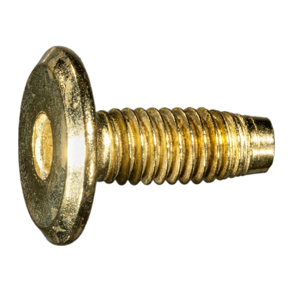6mm-1.0 x 16mm Jnt Con Bolt BrP