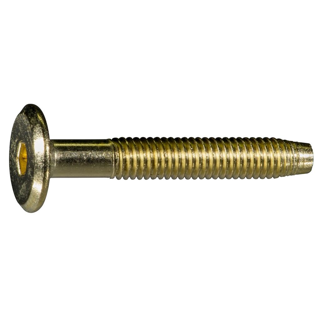 6mm-1.0 x 40mm Jnt Con Bolt BrP