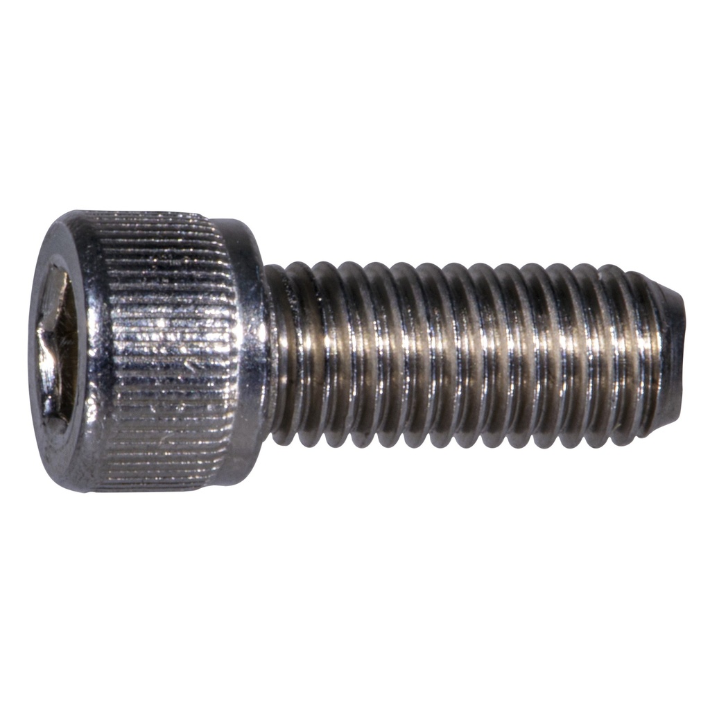 1/4-28 x 5/8 Socket Cap NF SS