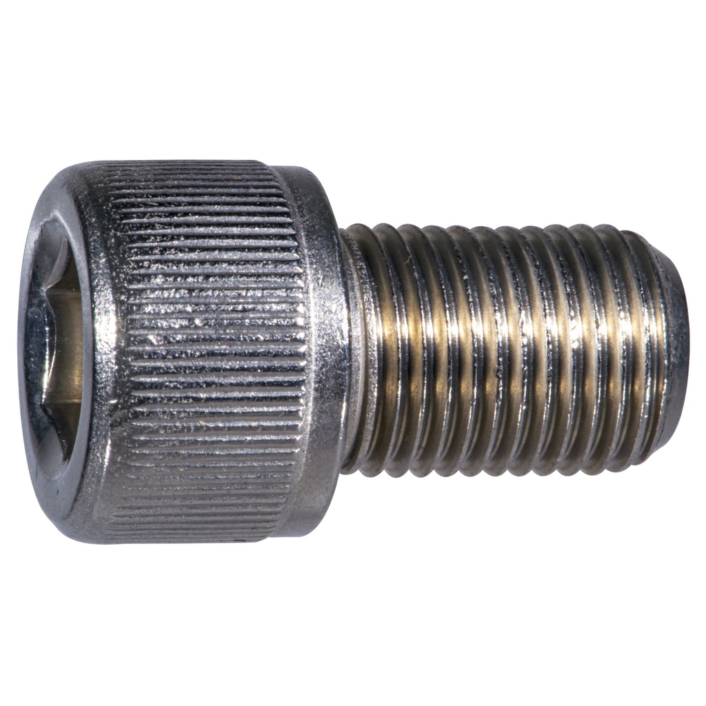 1/2-20 x 3/4 Socket Cap NF SS