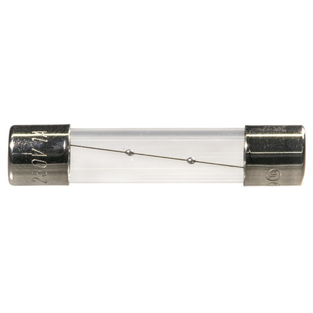 1A 1/4 x 1-1/4 TSA Slo Blo Fuse