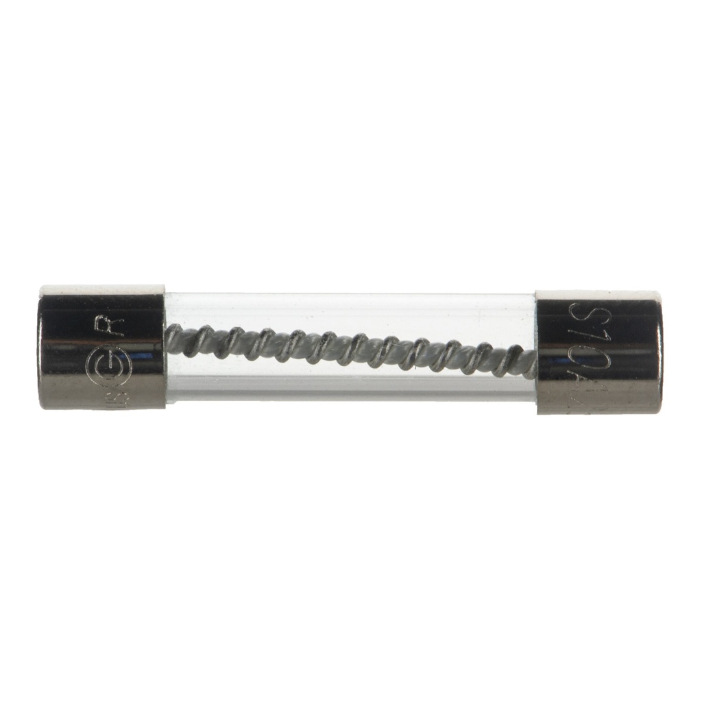 [MF934247] 10A 1/4 x1-1/4 TSA Slo Blo Fuse