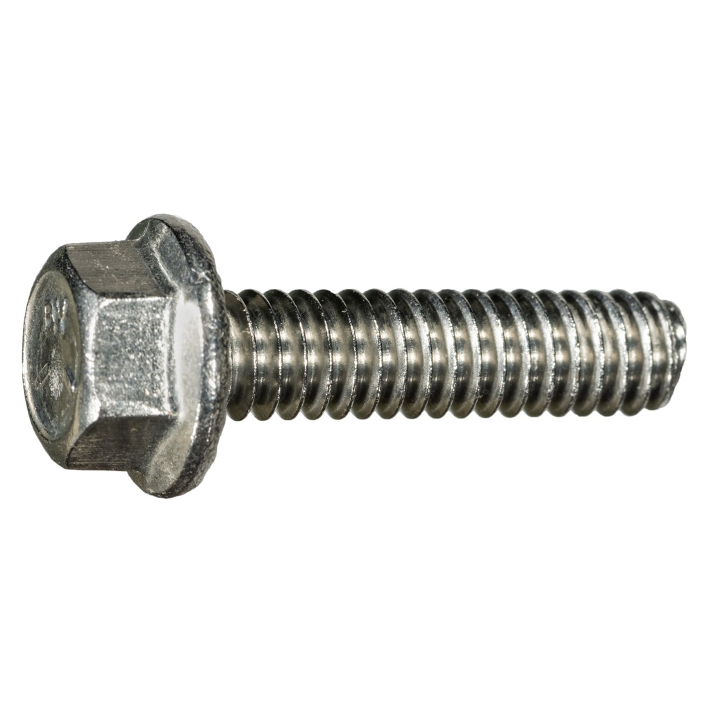 1/4-20 x 1 Ser Flang Blt SS