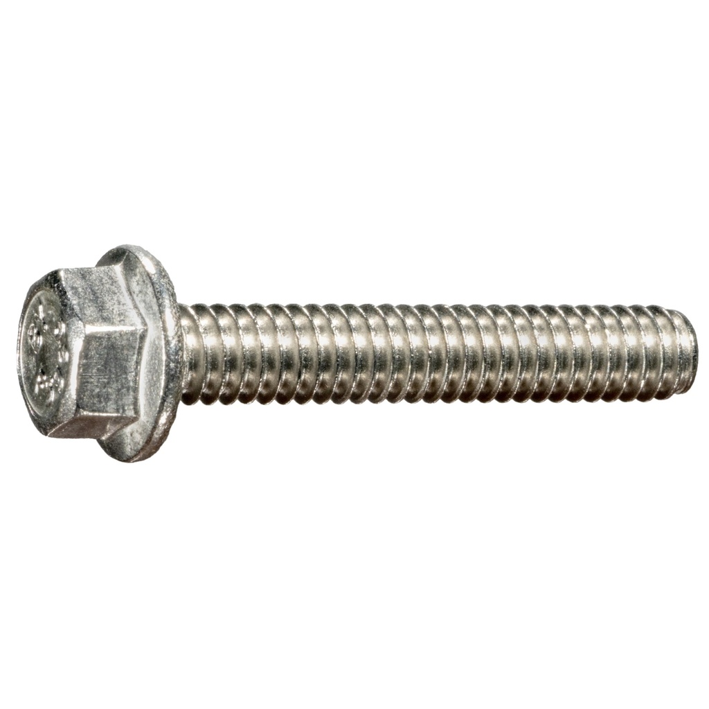 1/4-20 x 1-1/2 Ser Flang Blt SS