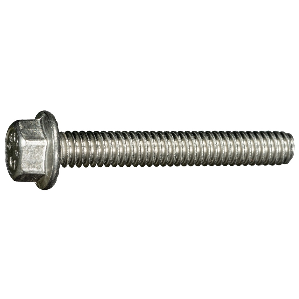 1/4-20 x 1-3/4 Ser Flang Blt SS