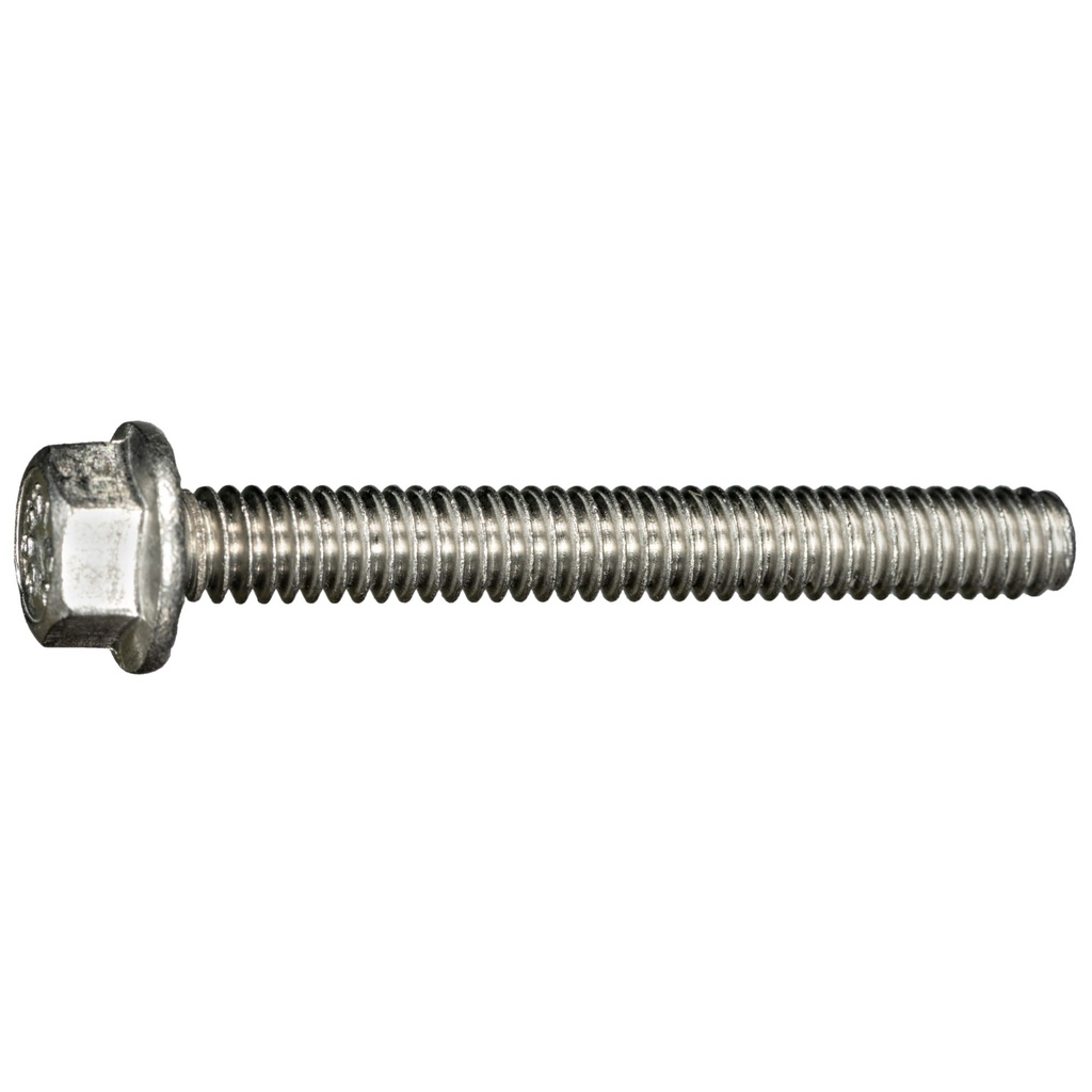 1/4-20 x 2 Ser Flang Blt SS